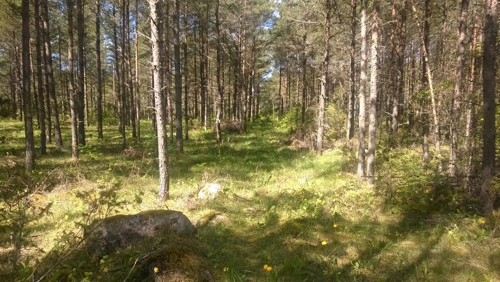 Nature Getaway Holiday Home Mujaste Buitenkant foto